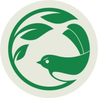 Wagtail Collective