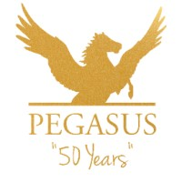 Pegasus Riding for The Disabled