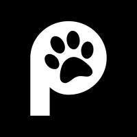 Pawezy